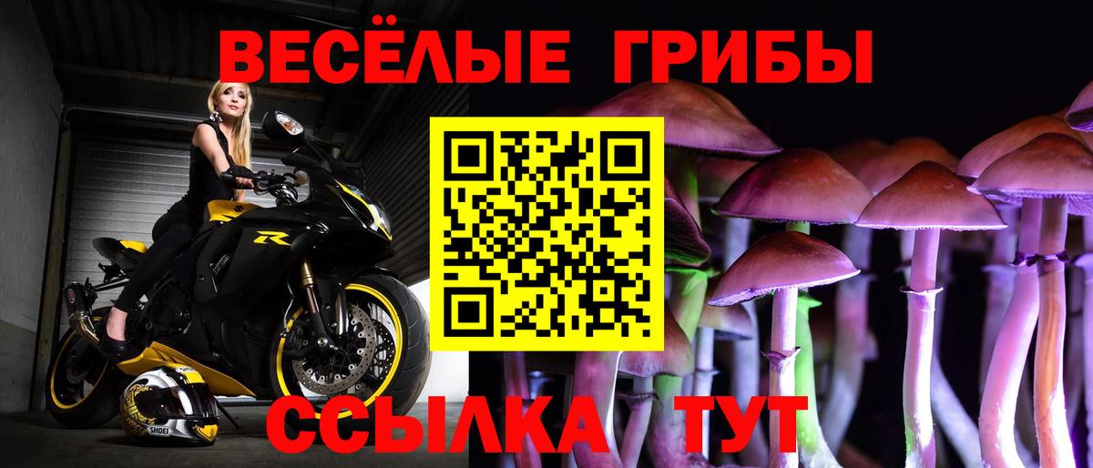ГАШ Родники