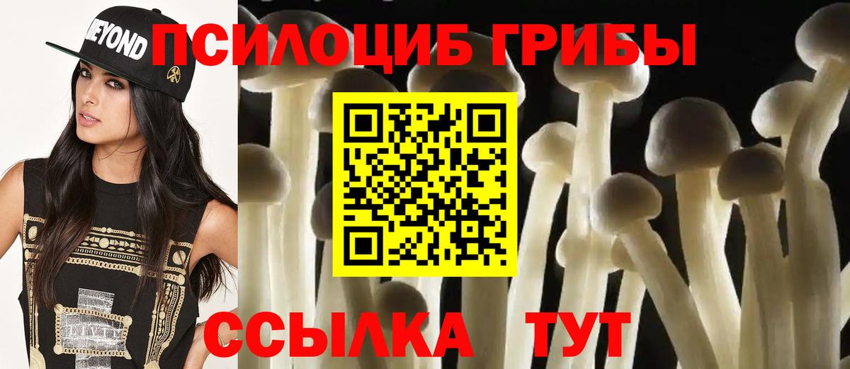 где продают   Псилоцибиновые грибы GOLDEN TEACHER  Вход с VPN  Родники 